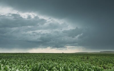 Revolução no Agro: Como a IA está potencializando a produtividade e reduzindo os riscos relacionados ao clima!