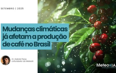 Mudanças climáticas já afetam a produção de café no Brasil