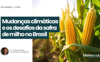 Mudanças climáticas e os desafios da safra de milho no Brasil